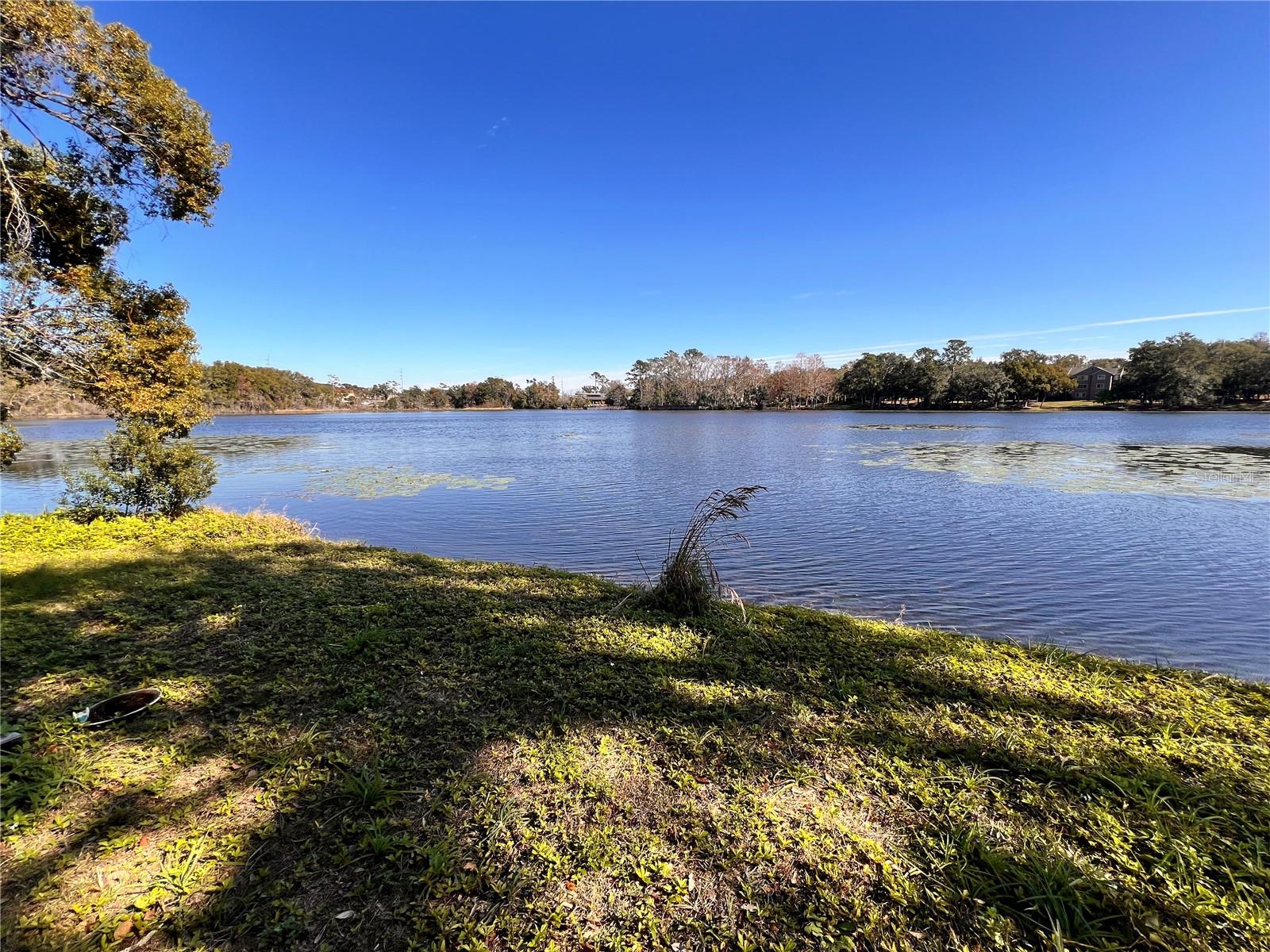 901 SHEILA PL, APOPKA, FL, 32703