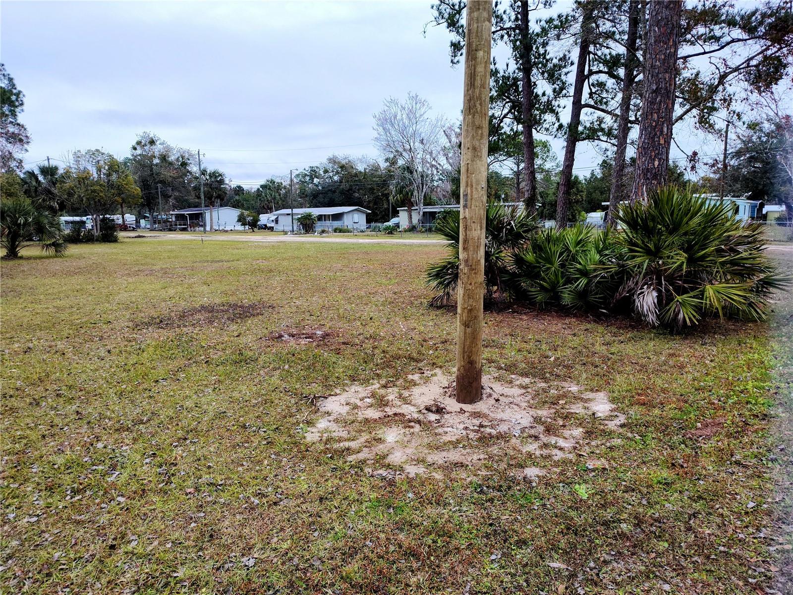 55045 6TH ST, ASTOR, FL, 32102