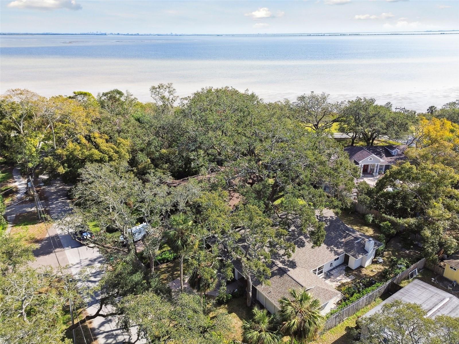 356 GRAND CENTRAL AVE, SAFETY HARBOR, FL, 34695