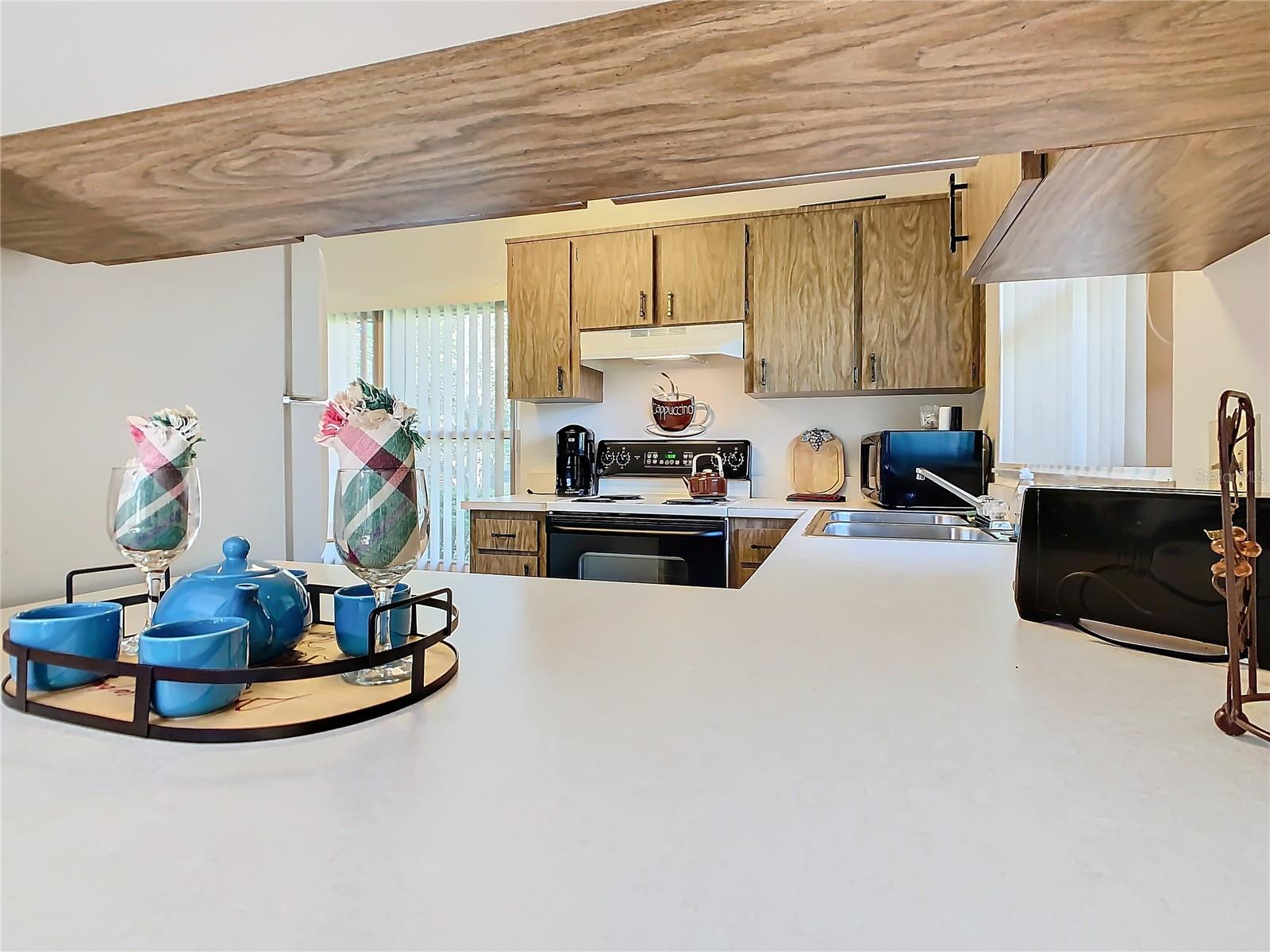 540 HUNTER CIR, KISSIMMEE, FL, 34758