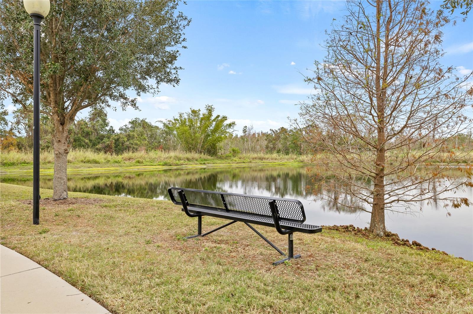 11220 MOULTRIE PL, TAMPA, FL, 33625