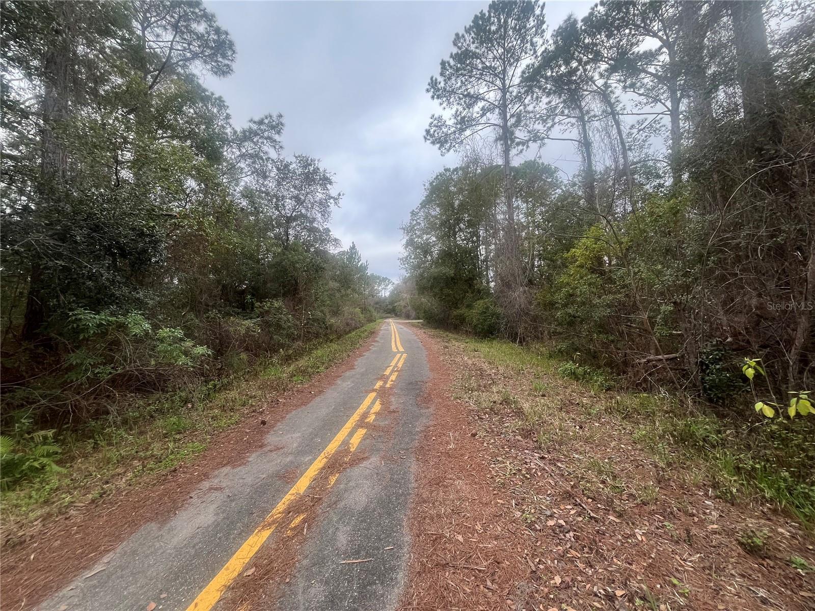 TBD LOCUST, OCALA, FL, 34472