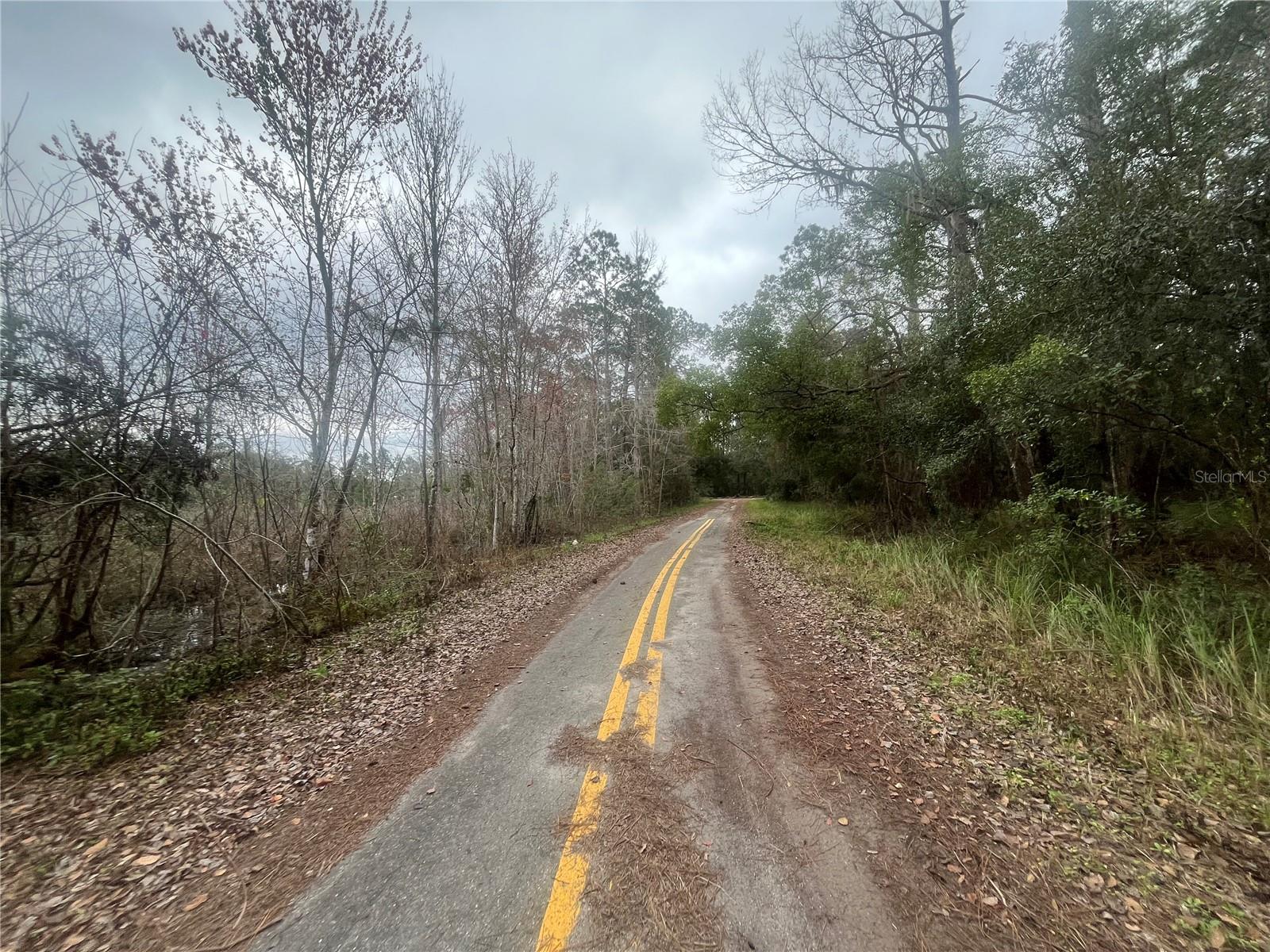 TBD LOCUST, OCALA, FL, 34472