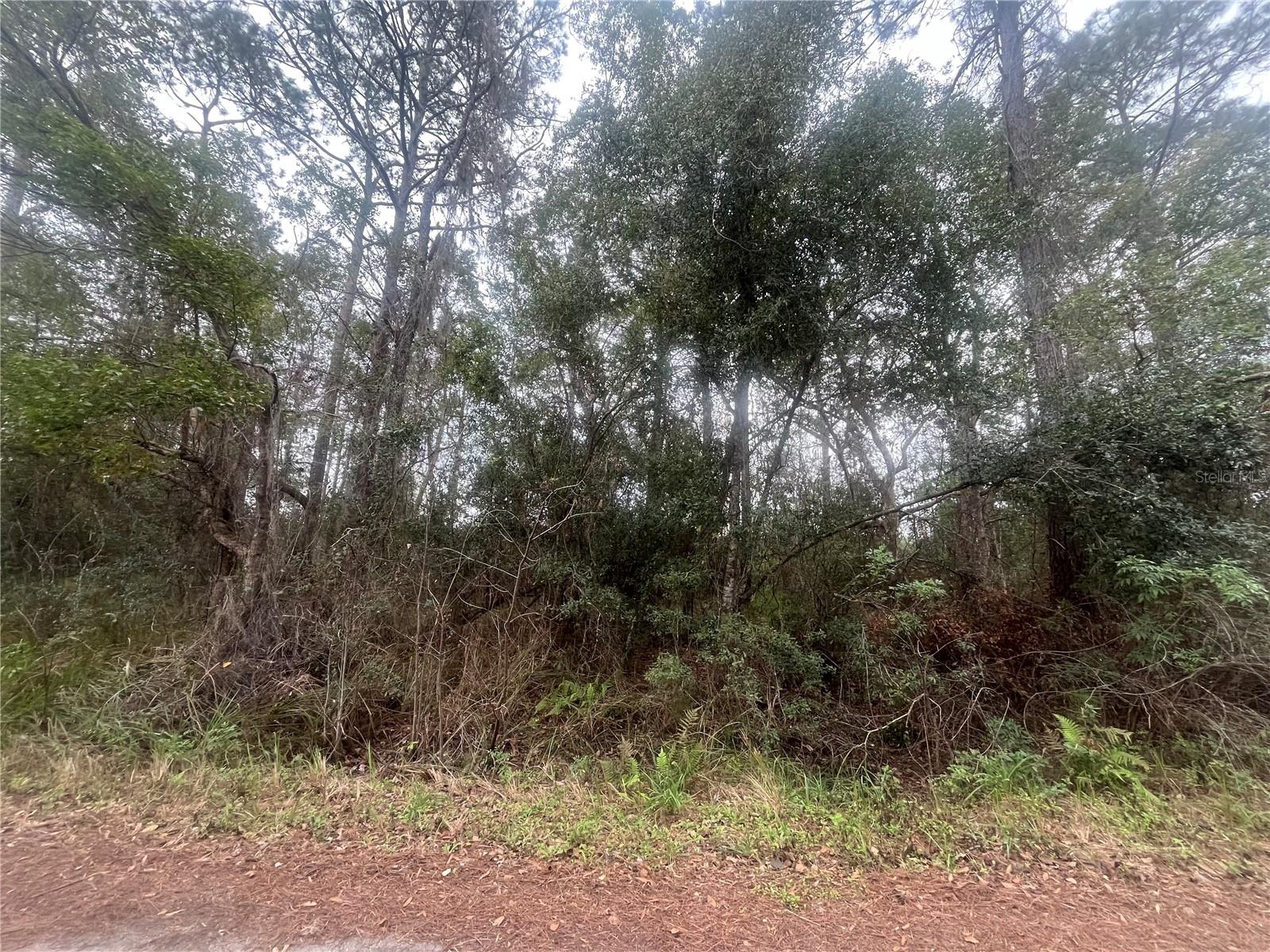 TBD LOCUST, OCALA, FL, 34472