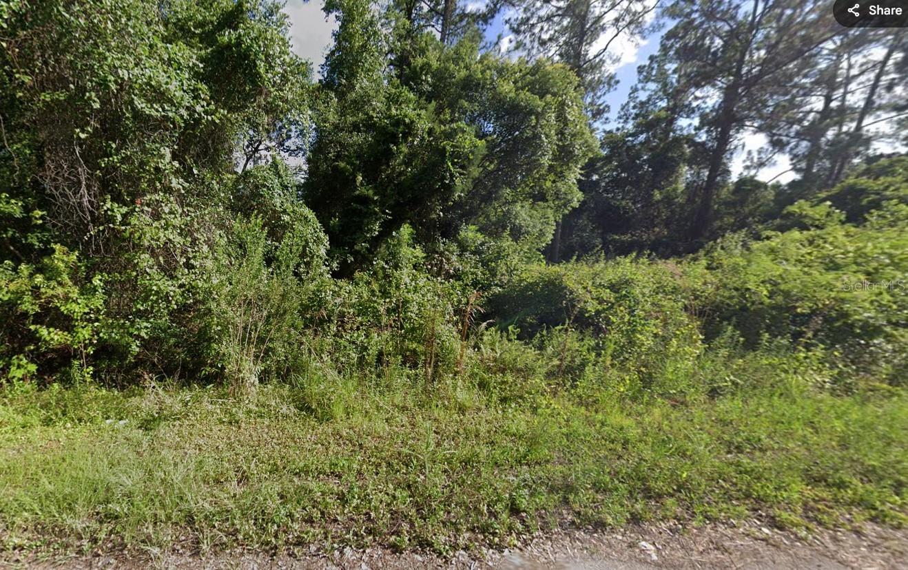 TBD LOCUST, OCALA, FL, 34472