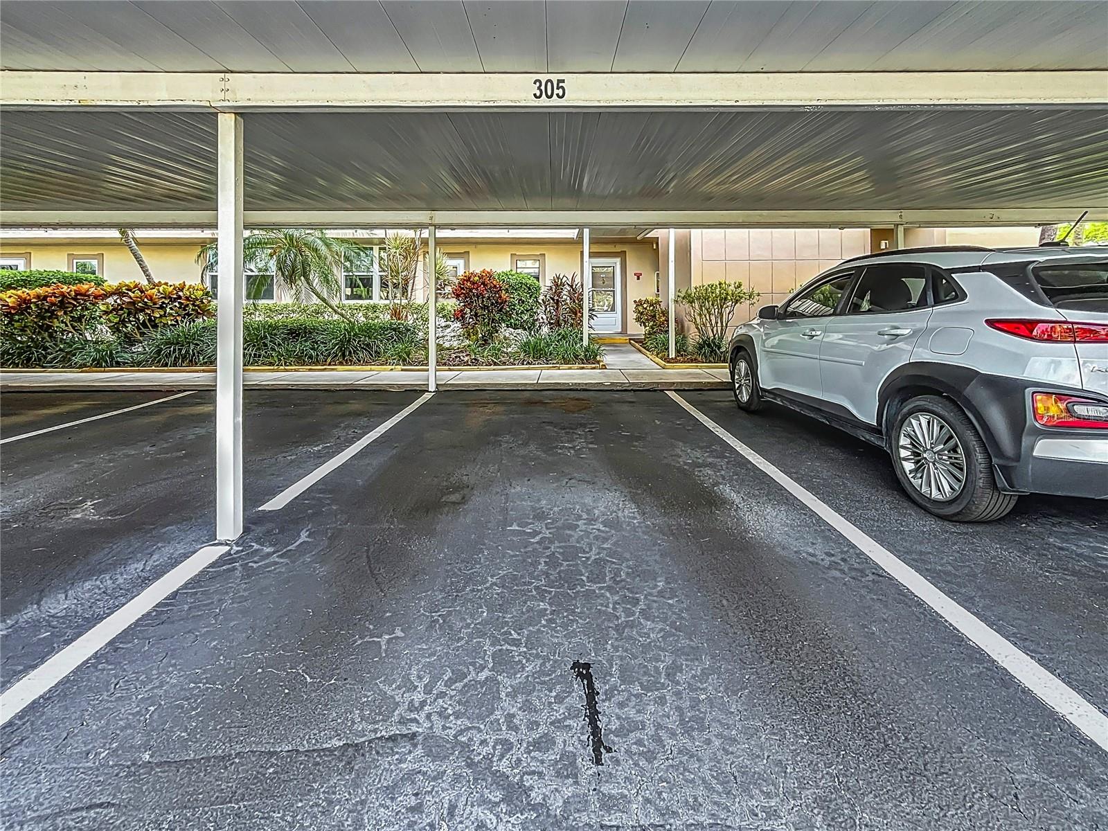 7930 SUN ISLAND DR S #305, SOUTH PASADENA, FL, 33707