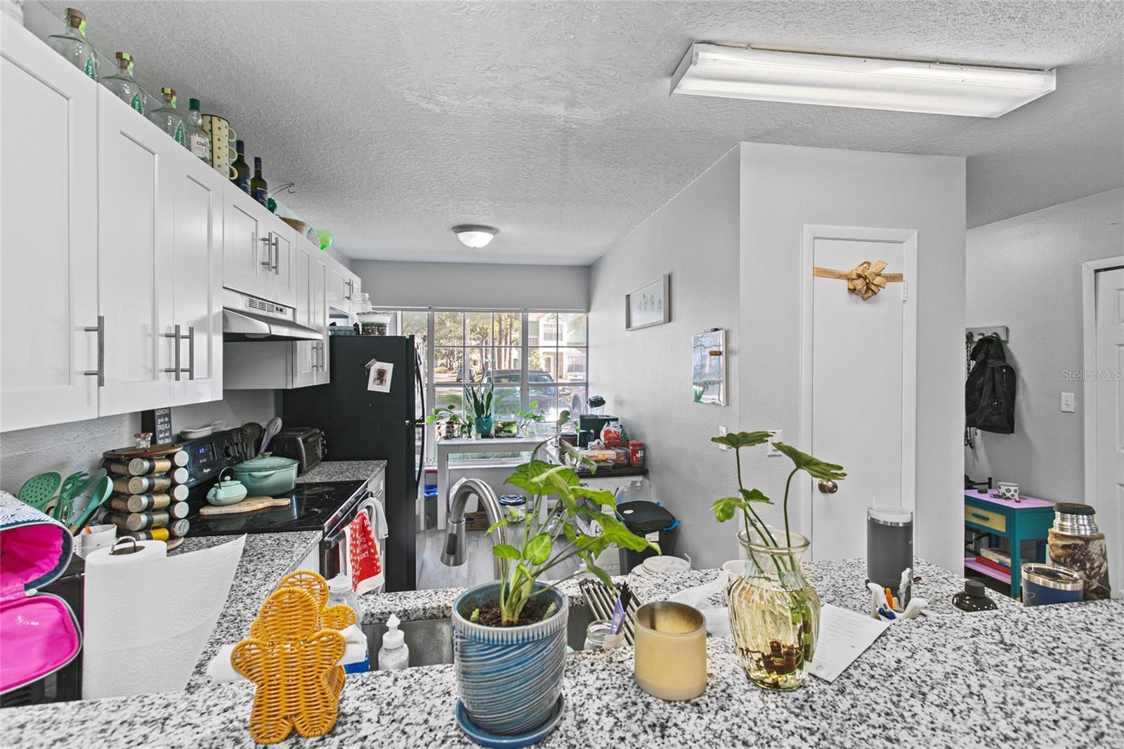 11110 ESSEX RIDGE CT, ORLANDO, FL, 32837