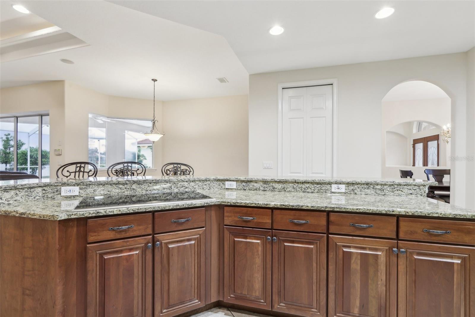 10553 BERMUDA ISLE DR, TAMPA, FL, 33647