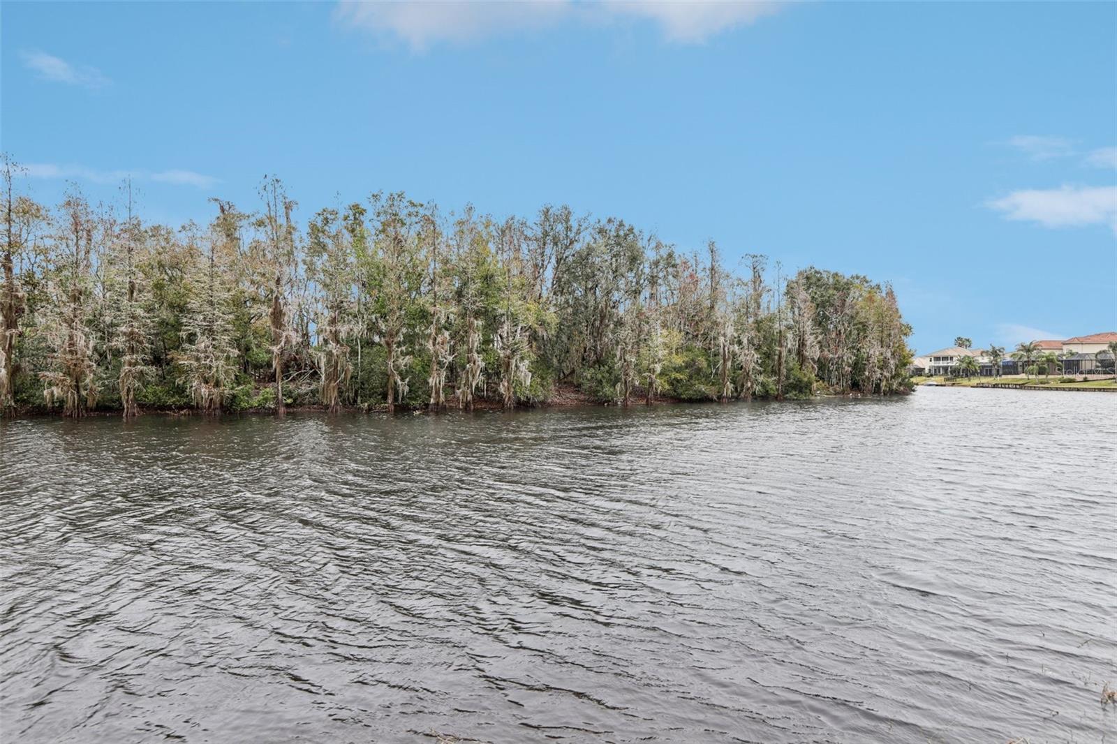 10553 BERMUDA ISLE DR, TAMPA, FL, 33647