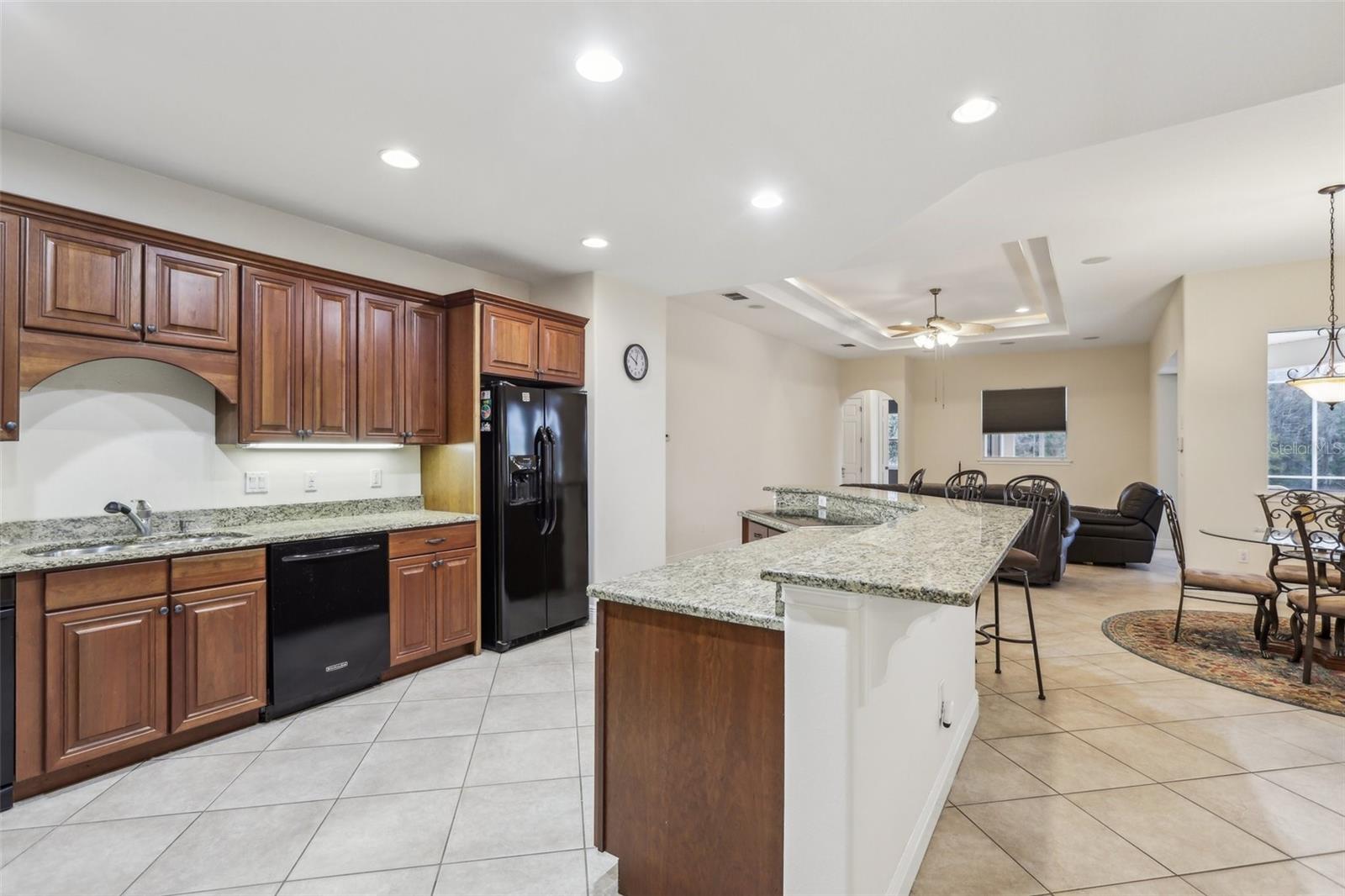 10553 BERMUDA ISLE DR, TAMPA, FL, 33647