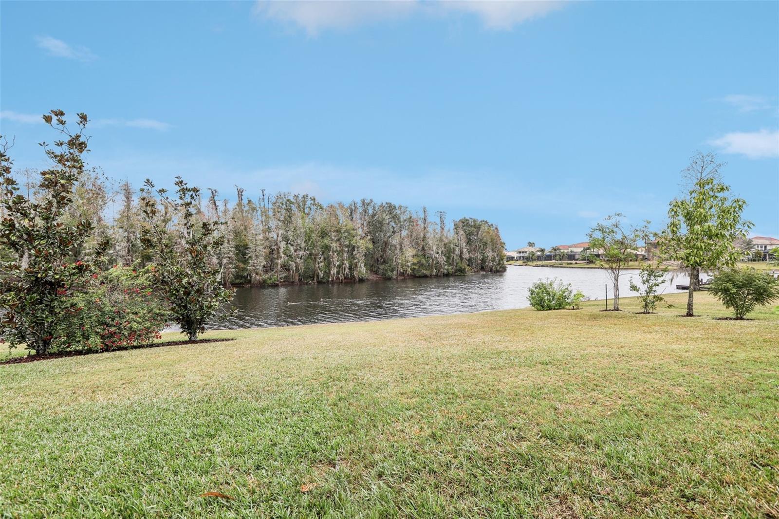 10553 BERMUDA ISLE DR, TAMPA, FL, 33647