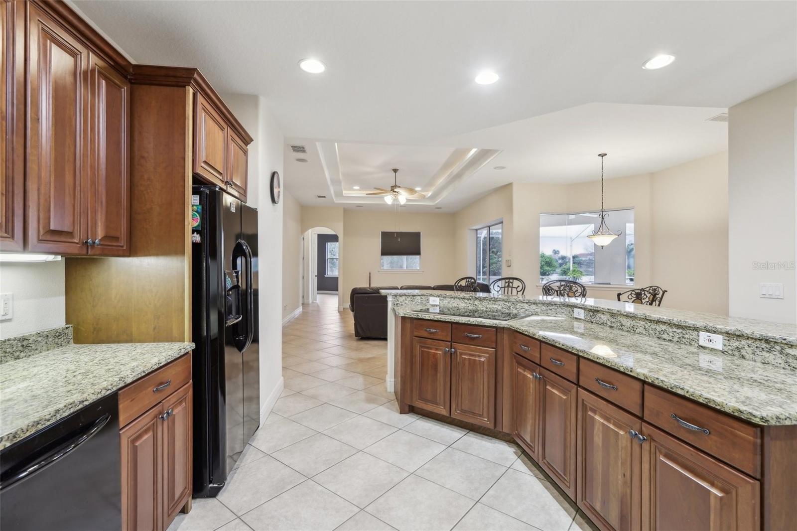10553 BERMUDA ISLE DR, TAMPA, FL, 33647