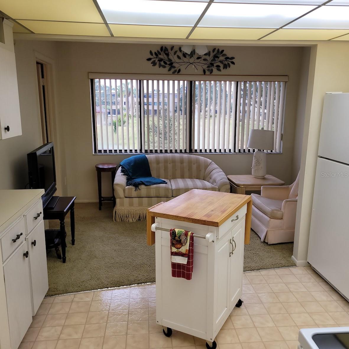4920 LOCUST ST NE #203, ST PETERSBURG, FL, 33703