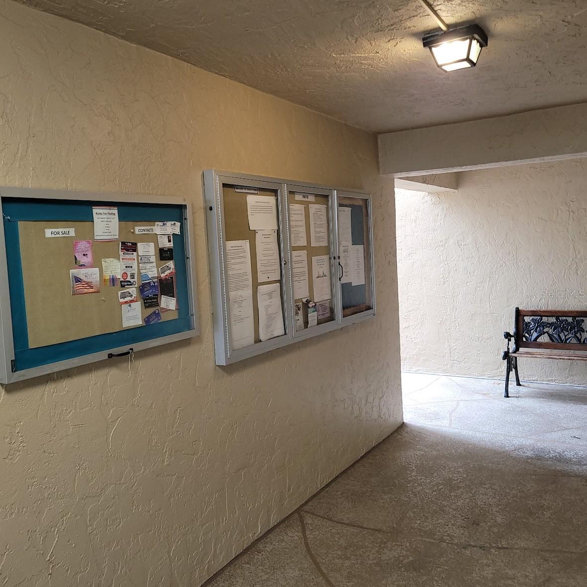 4920 LOCUST ST NE #203, ST PETERSBURG, FL, 33703