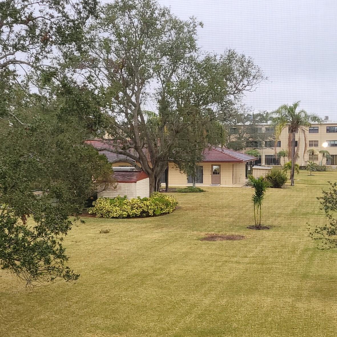 4920 LOCUST ST NE #203, ST PETERSBURG, FL, 33703