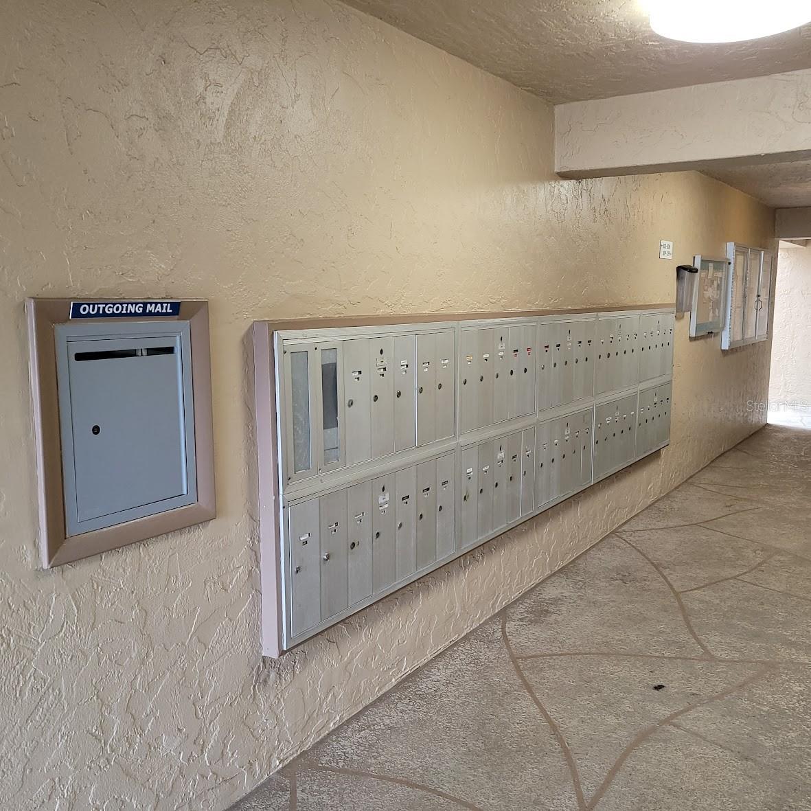 4920 LOCUST ST NE #203, ST PETERSBURG, FL, 33703