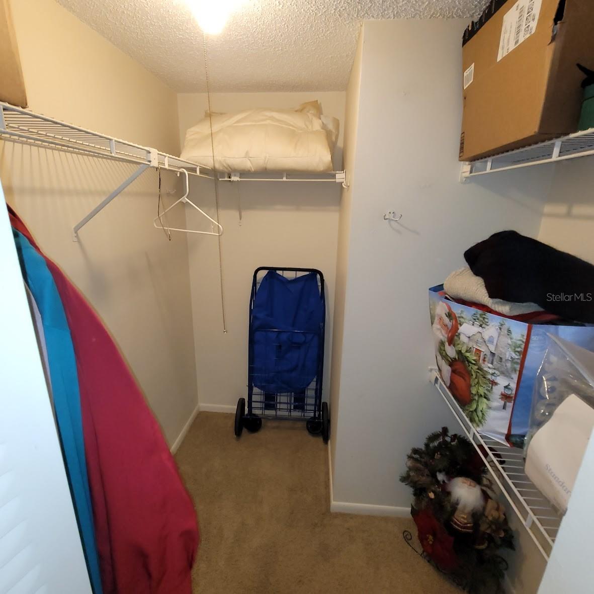 4920 LOCUST ST NE #203, ST PETERSBURG, FL, 33703