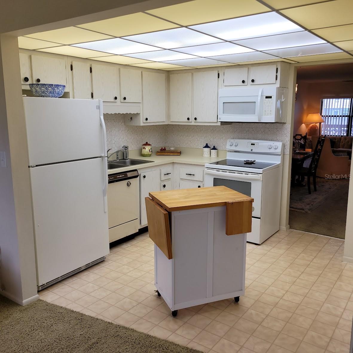 4920 LOCUST ST NE #203, ST PETERSBURG, FL, 33703