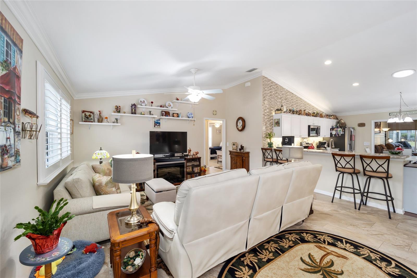 392 ARBELLA LOOP, THE VILLAGES, FL, 32162
