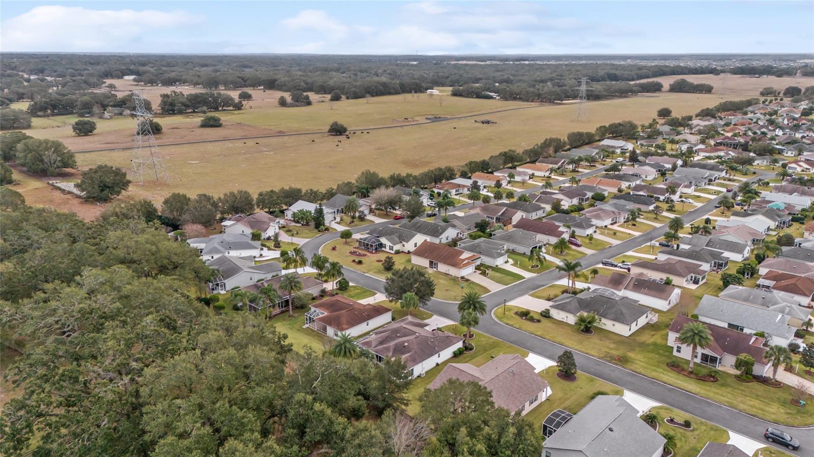 392 ARBELLA LOOP, THE VILLAGES, FL, 32162