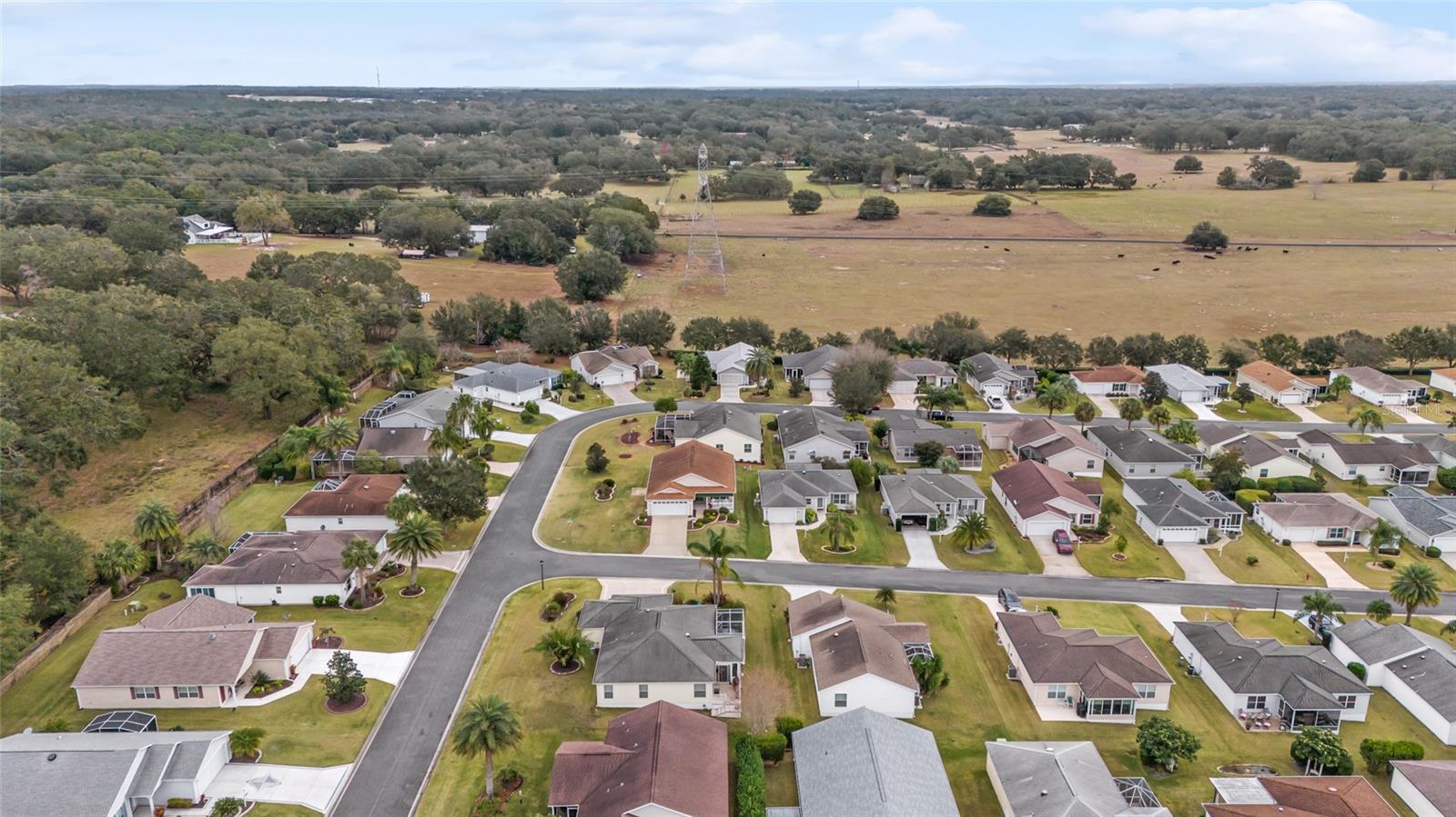 392 ARBELLA LOOP, THE VILLAGES, FL, 32162