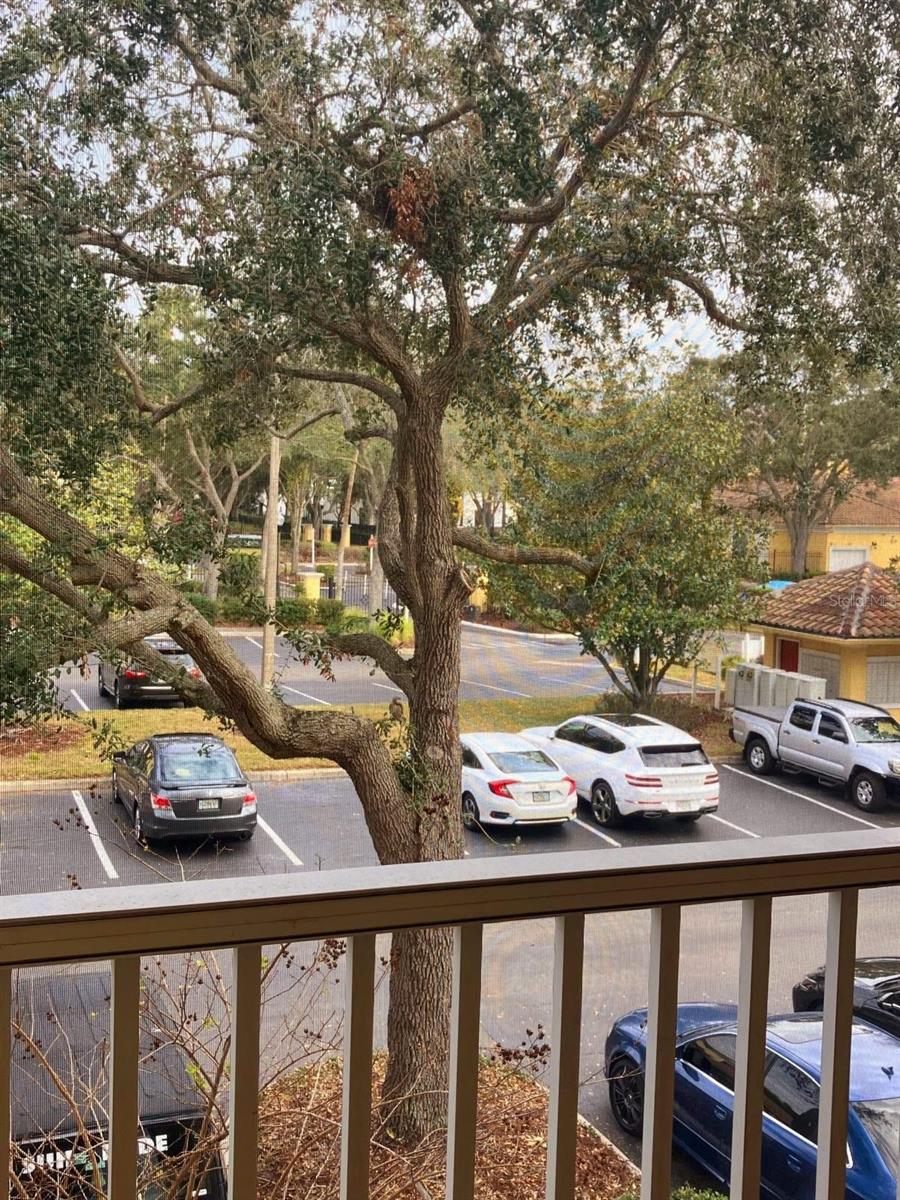 1125 LAKE SHADOW CIR #5203, MAITLAND, FL, 32751