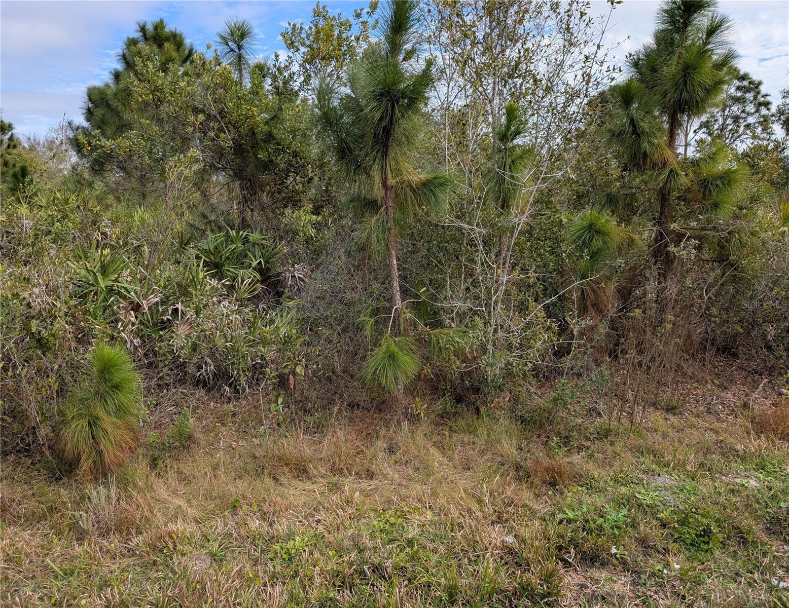 NE 1ST TER, OKEECHOBEE, FL, 34972