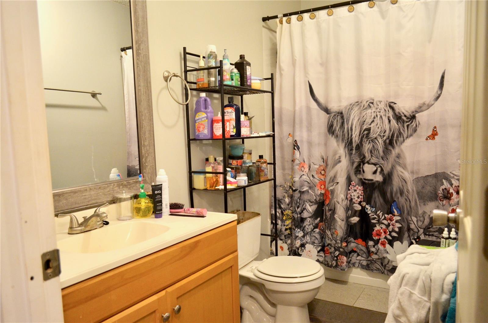 43641 BEAR LAKE BLVD, DELAND, FL, 32720