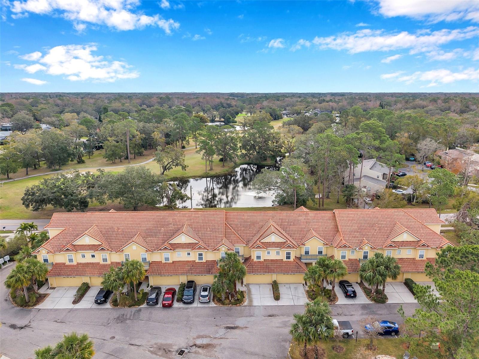 2648 TANGLEWOOD TRL, PALM HARBOR, FL, 34685