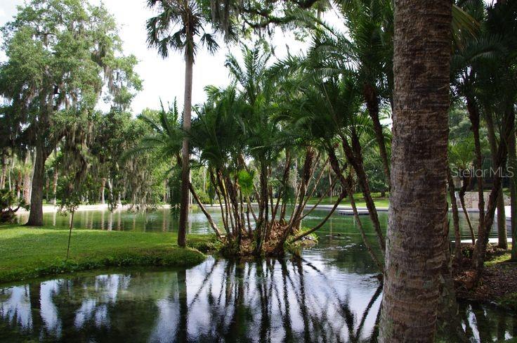 113 CROWN OAKS WAY #113, LONGWOOD, FL, 32779