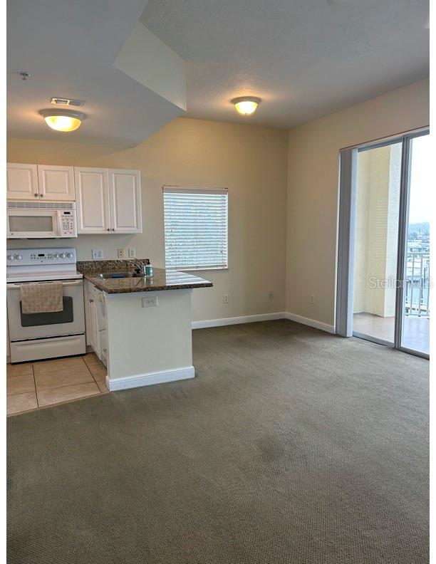8800 BAY PINES BLVD #220, ST PETERSBURG, FL, 33709