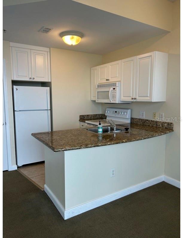 8800 BAY PINES BLVD #220, ST PETERSBURG, FL, 33709