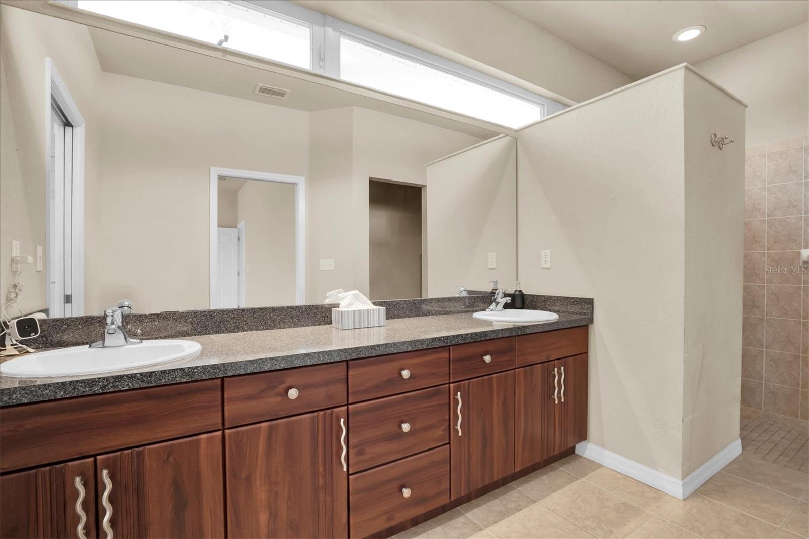 18420 BURRELL RD, ODESSA, FL, 33556