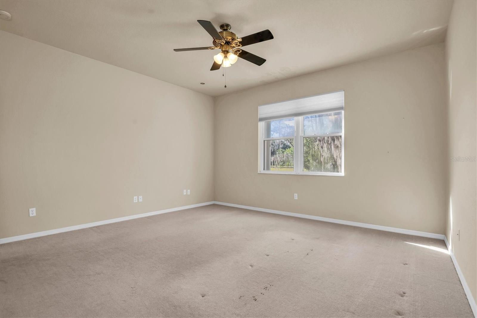 18420 BURRELL RD, ODESSA, FL, 33556