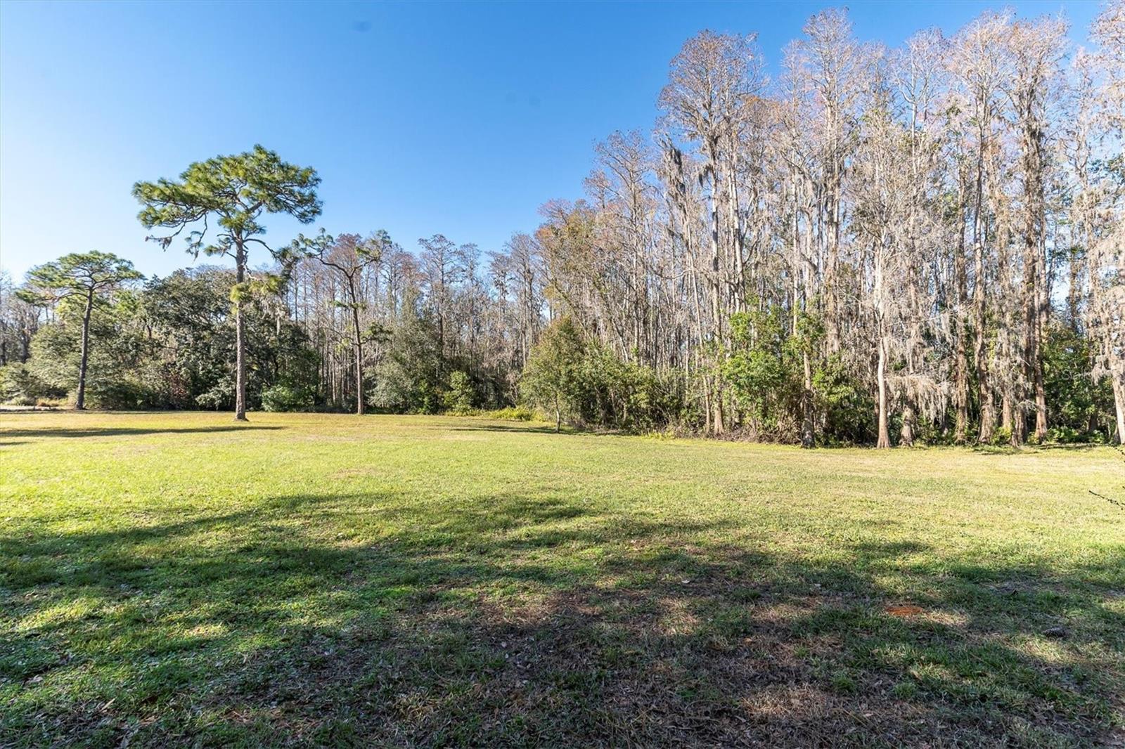 18420 BURRELL RD, ODESSA, FL, 33556