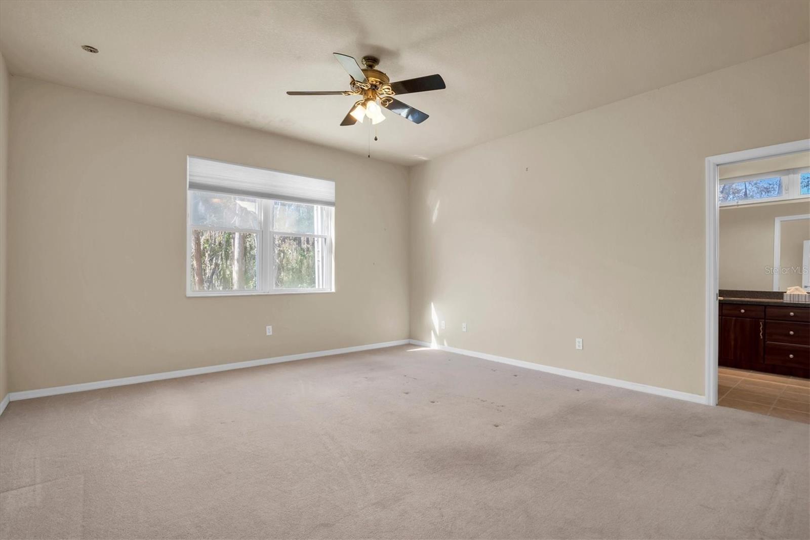18420 BURRELL RD, ODESSA, FL, 33556