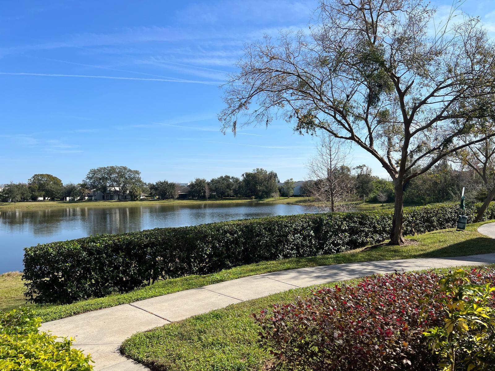 5447 VINELAND RD #1105, ORLANDO, FL, 32811