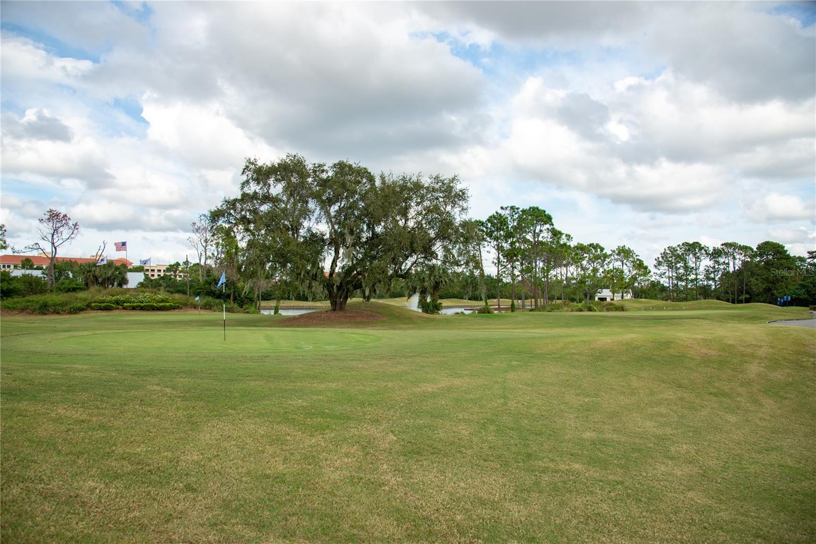 706 WESTPARK WAY #103, CELEBRATION, FL, 34747
