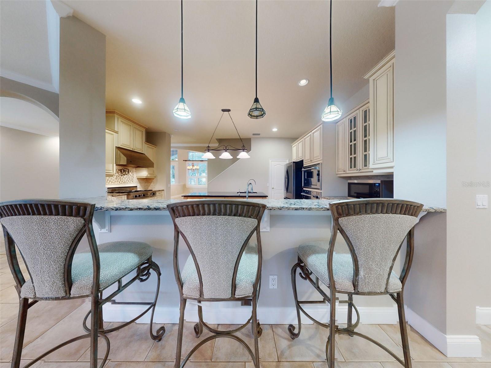720 STONEWOOD CT, NEW SMYRNA BEACH, FL, 32168