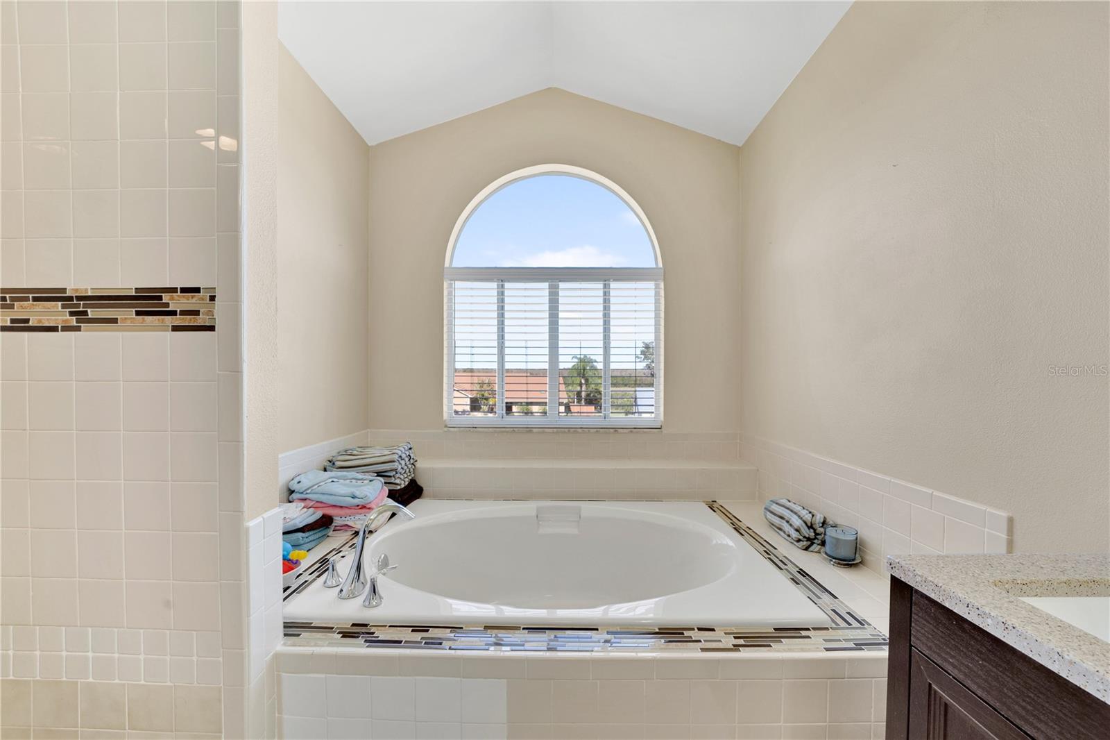 11201 LAKE SASSA DR, THONOTOSASSA, FL, 33592