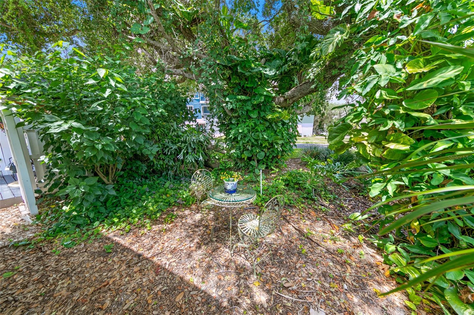 81 ALBERTA AVE, PONCE INLET, FL, 32127