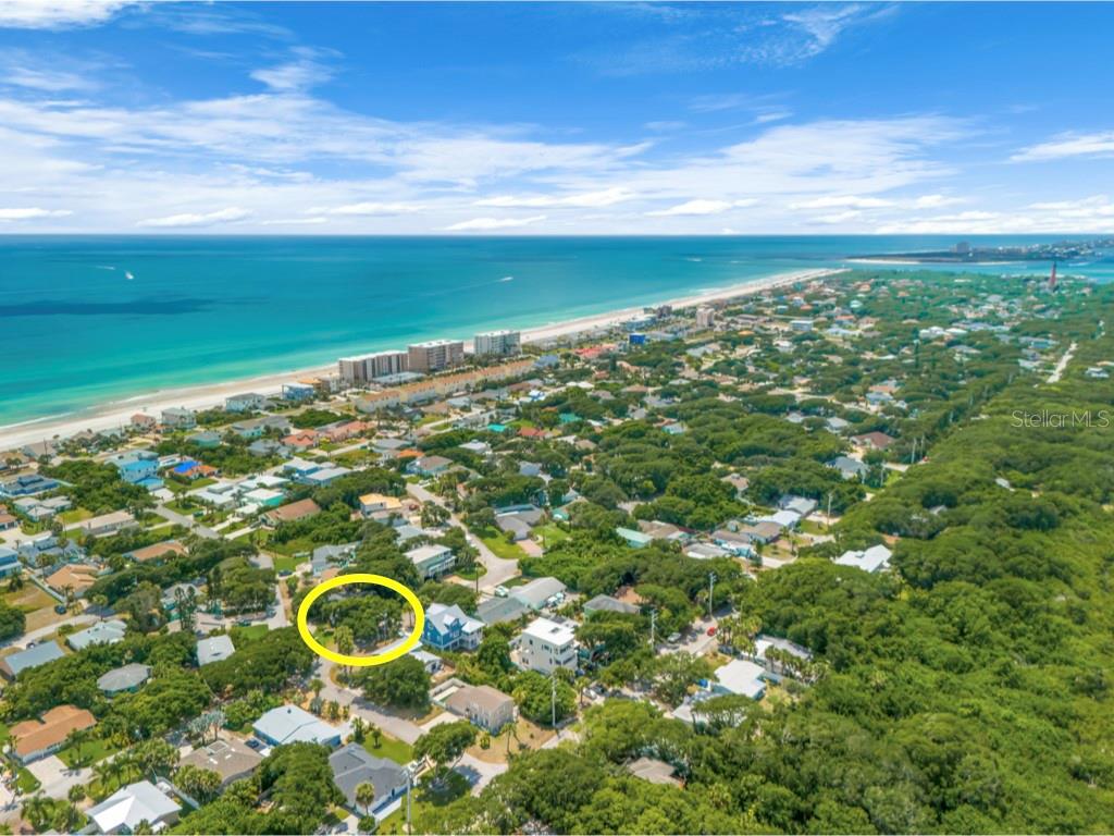 81 ALBERTA AVE, PONCE INLET, FL, 32127