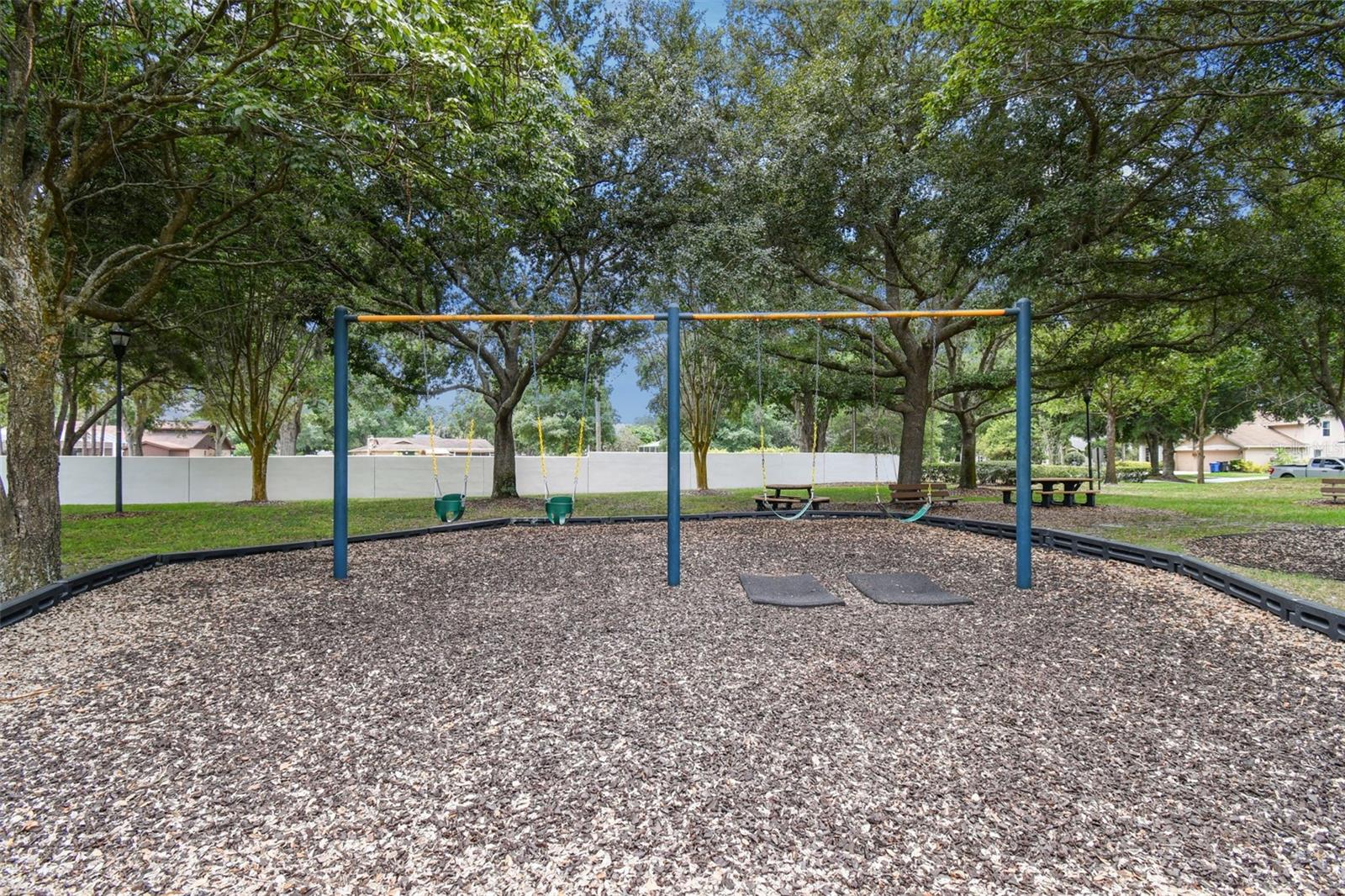 9232 BRINDLEWOOD DR, ODESSA, FL, 33556