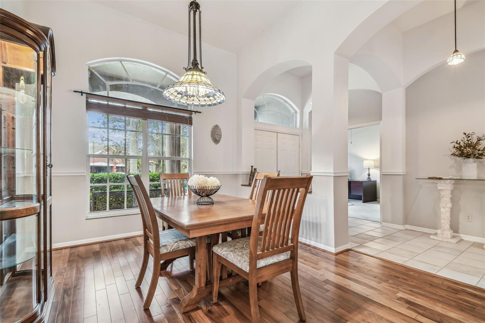 9232 BRINDLEWOOD DR, ODESSA, FL, 33556