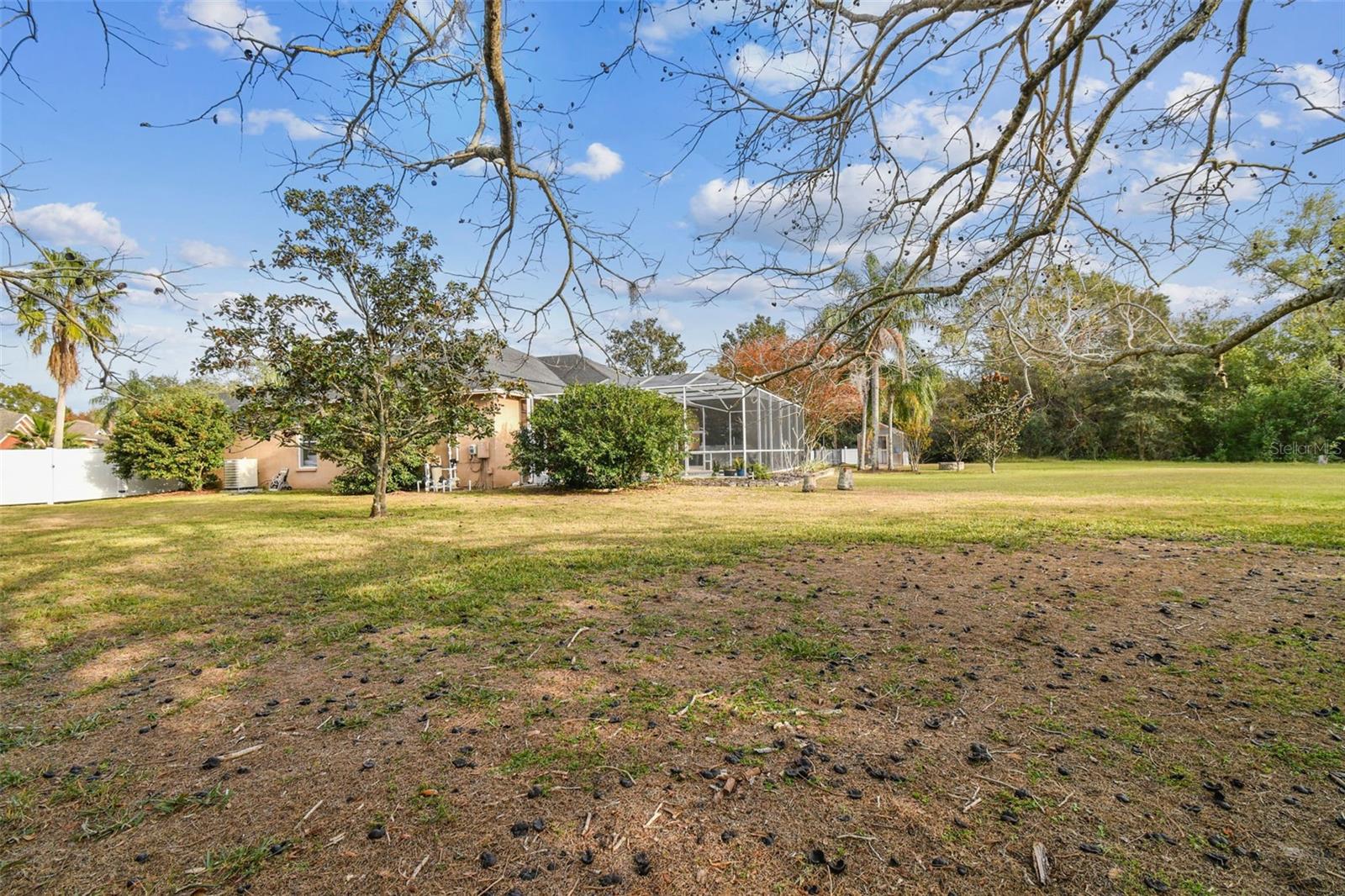 9232 BRINDLEWOOD DR, ODESSA, FL, 33556