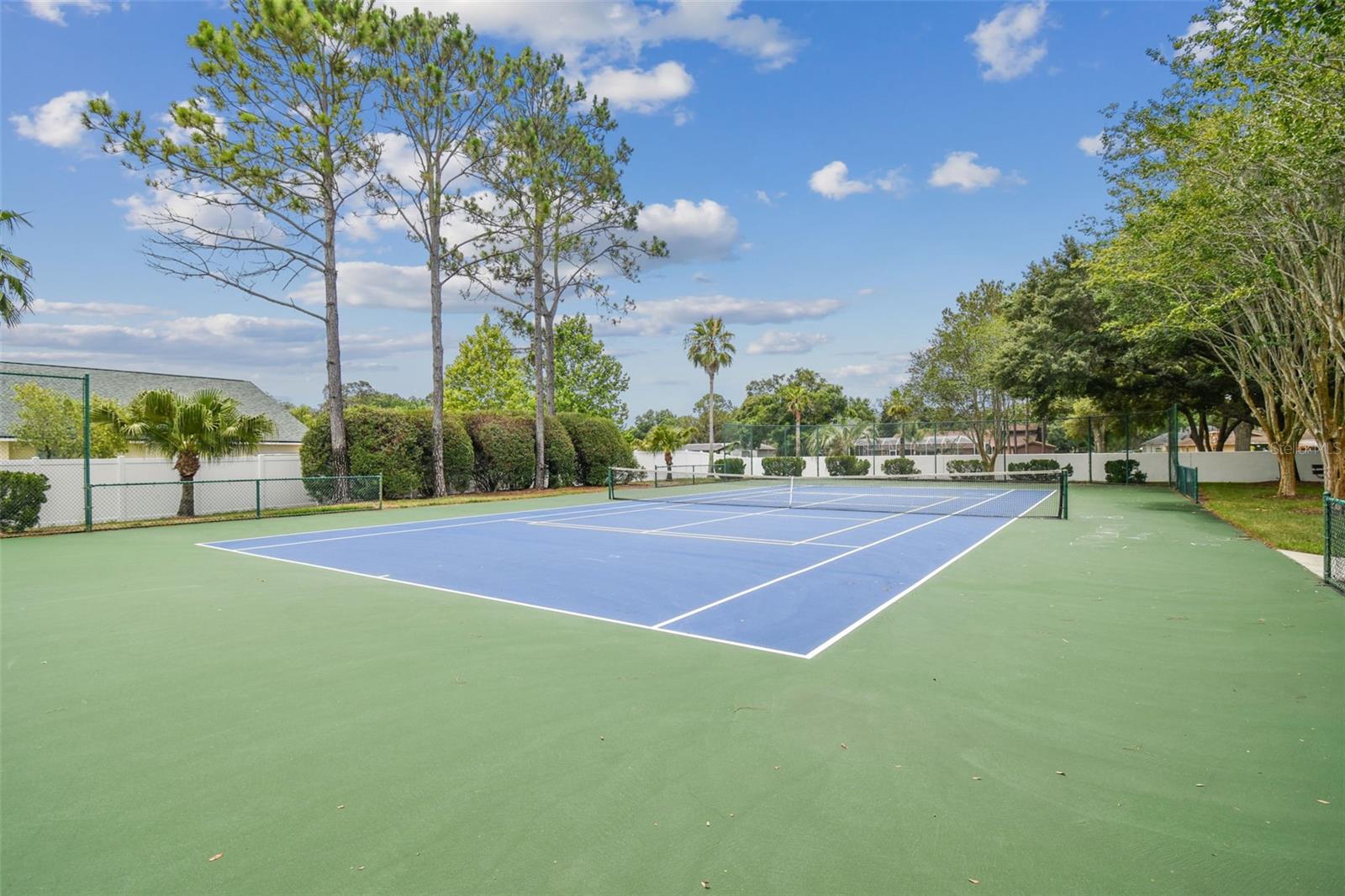 9232 BRINDLEWOOD DR, ODESSA, FL, 33556
