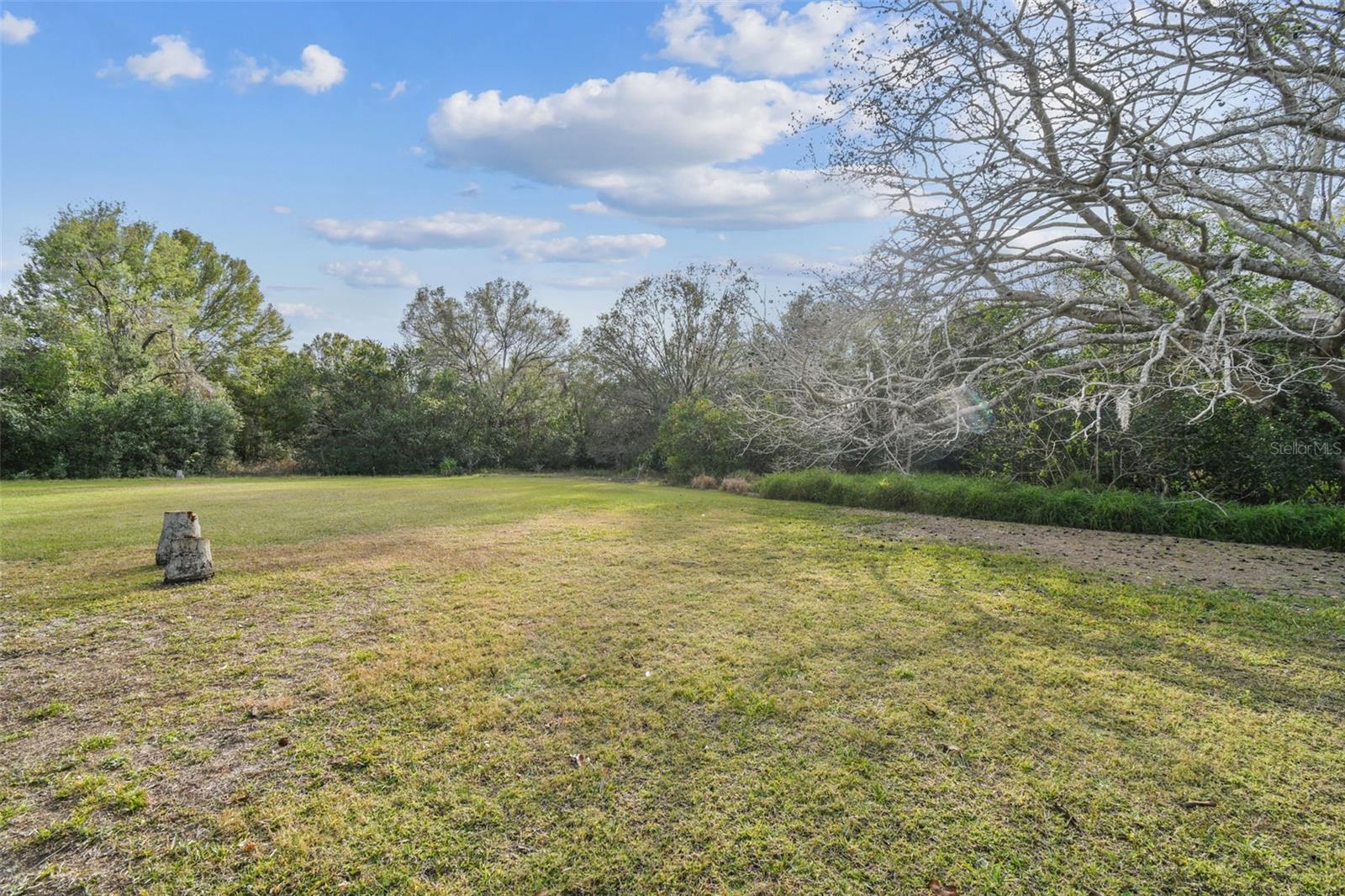 9232 BRINDLEWOOD DR, ODESSA, FL, 33556