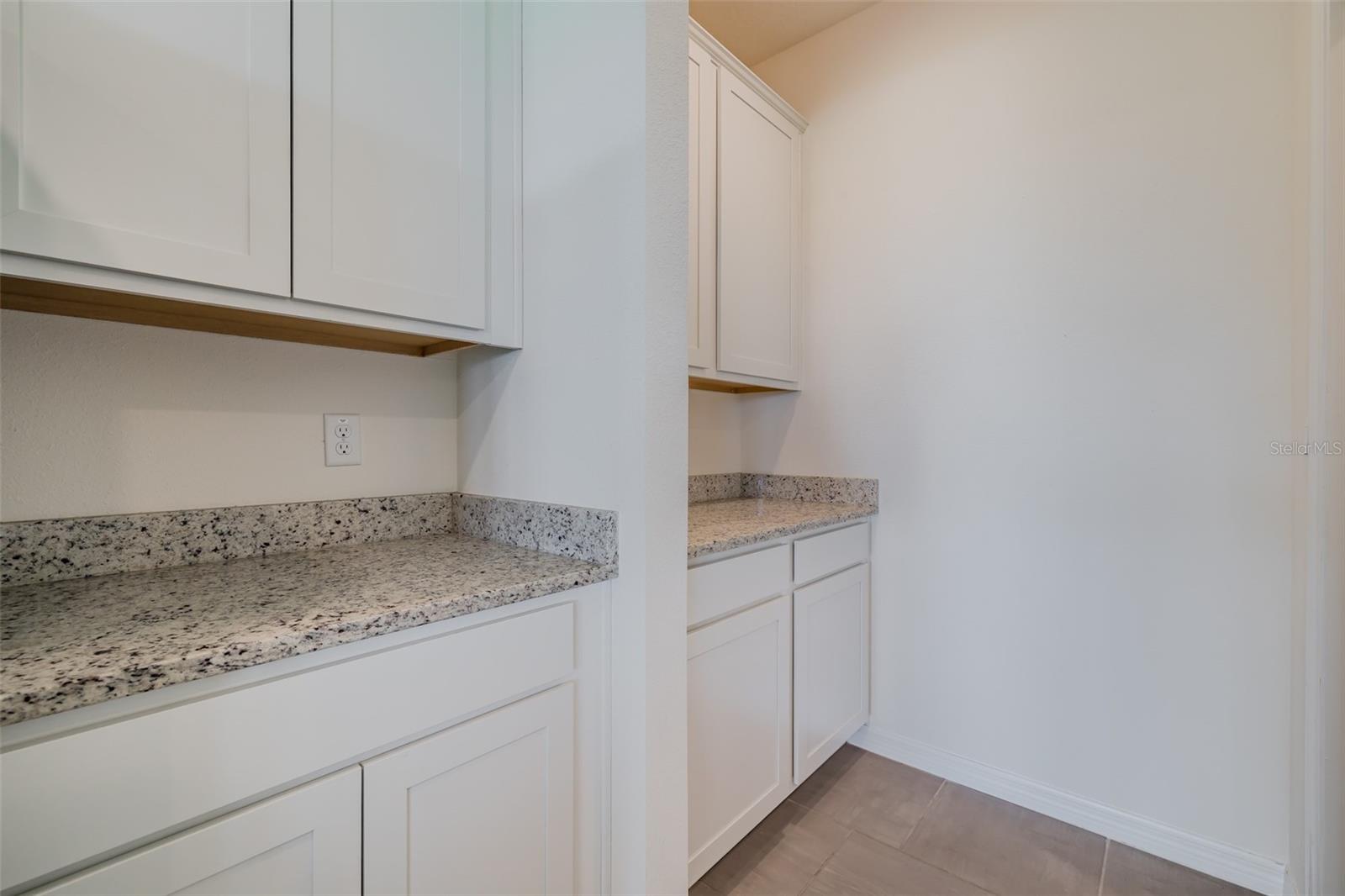 13090 BROOKSIDE MOSS DR, RIVERVIEW, FL, 33579