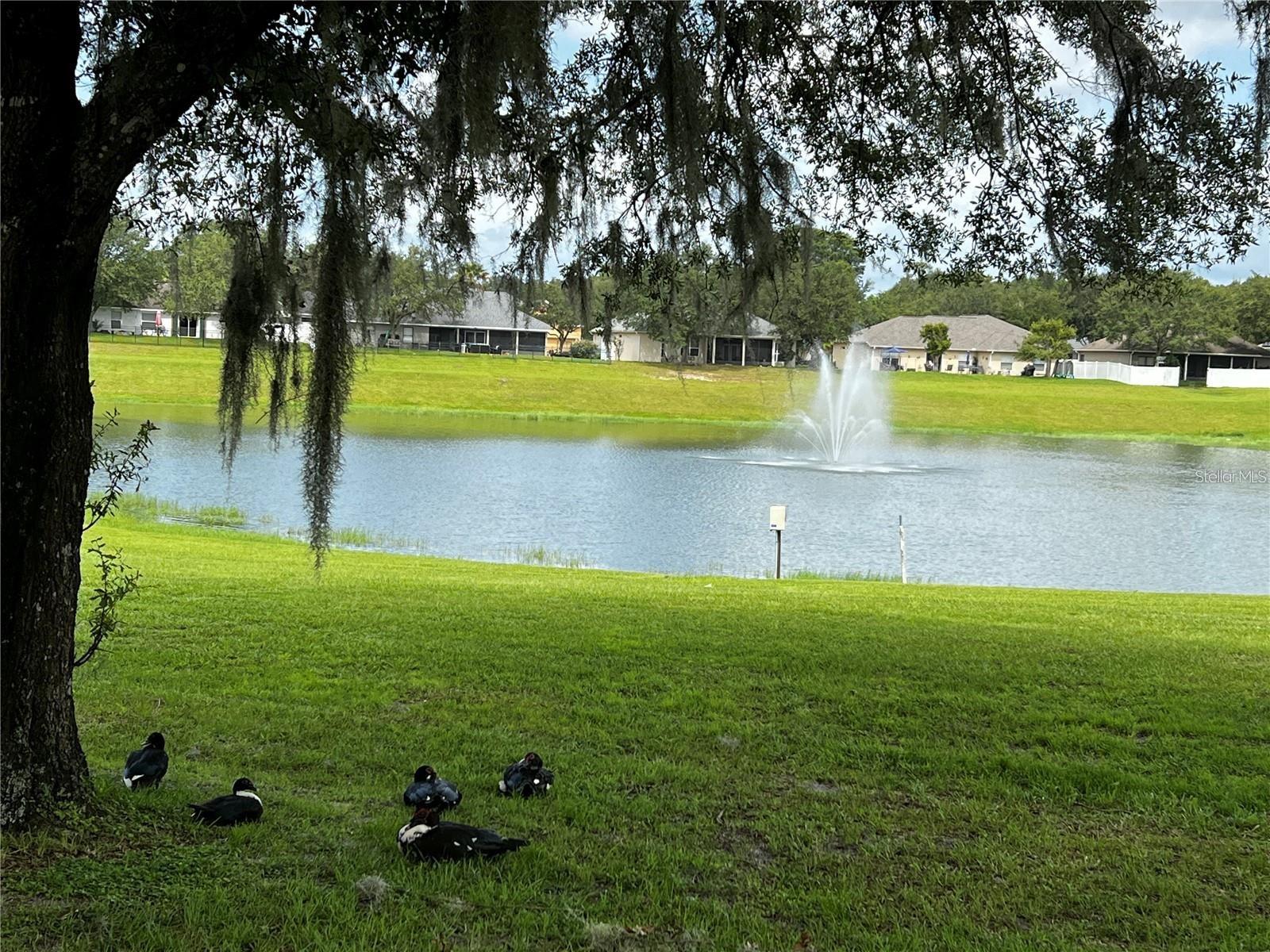 1521 LOUGHTON ST, DELAND, FL, 32720