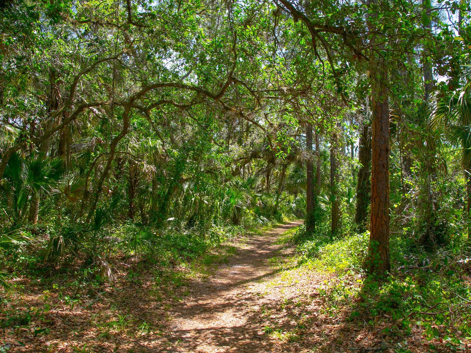 3339 HIGHLANDS BRIDGE RD #65, SARASOTA, FL, 34235